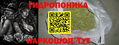 apvp Ярославль