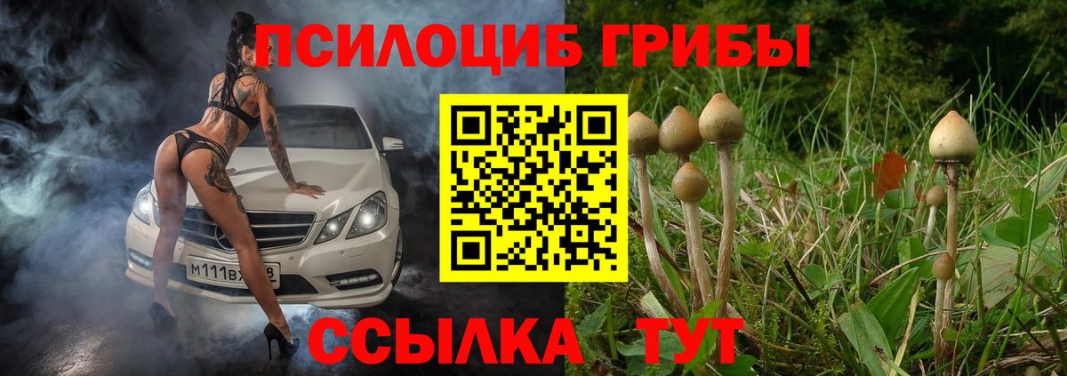 Галлюциногенные грибы Psilocybe  Вход с VPN  Псилоцибиновые грибы Psilocybine cubensis  Холмск 