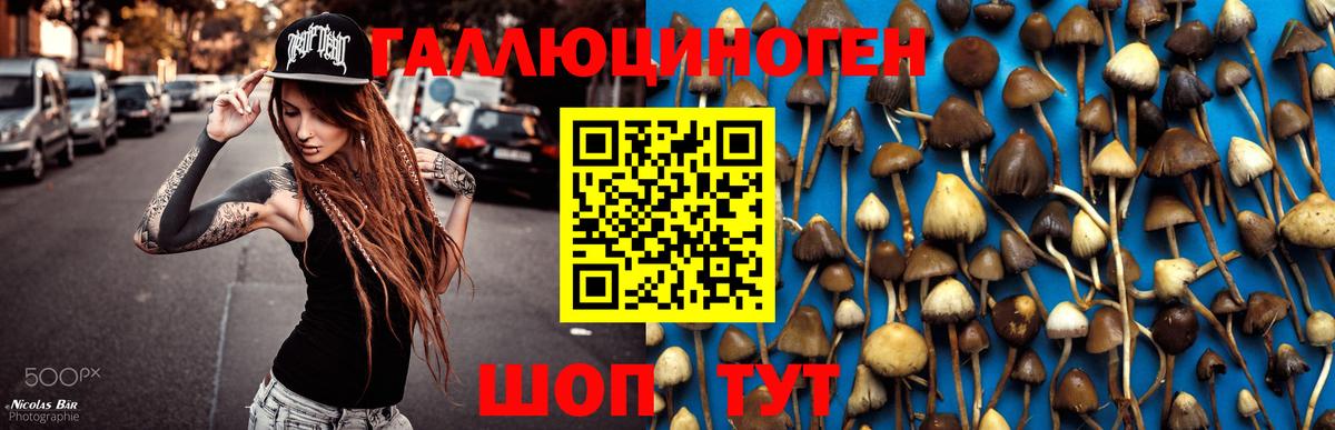 Псилоцибиновые грибы Cubensis Холмск